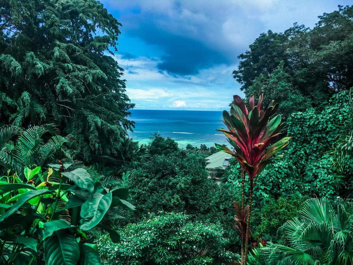 شقة Ocean Vista أو كاب المظهر الخارجي الصورة